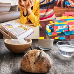 Homeschool Hub: The Science of Sourdough